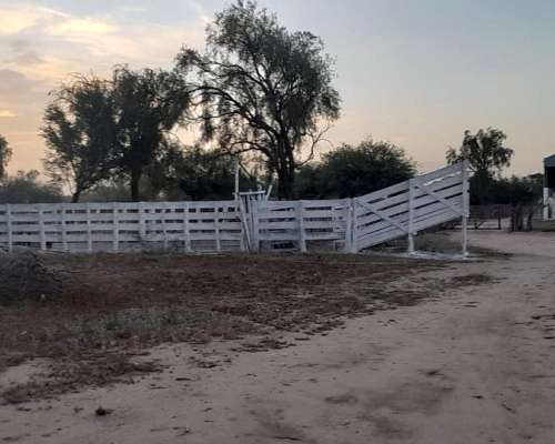 Campo Ganadero - Listo para Escriturar