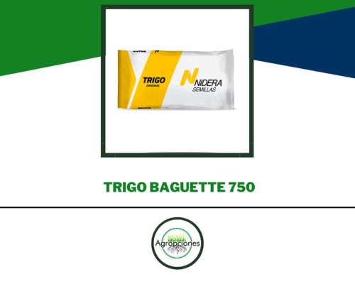 Semilla de Trigo Baguette 750 - Nidera