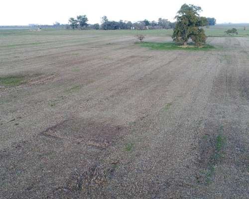 Campo en Venta en 25 de Mayo