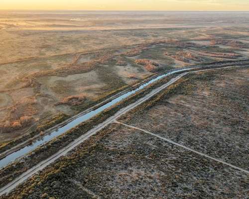 Lamarque, Avellandera, Río Negro - 16.387 Ha