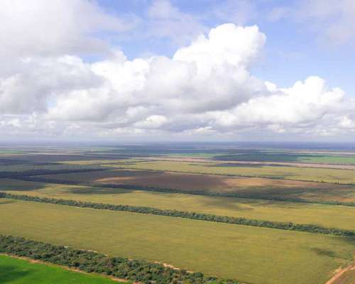 Pcia. de Salta - las Lajitas 8005 Has