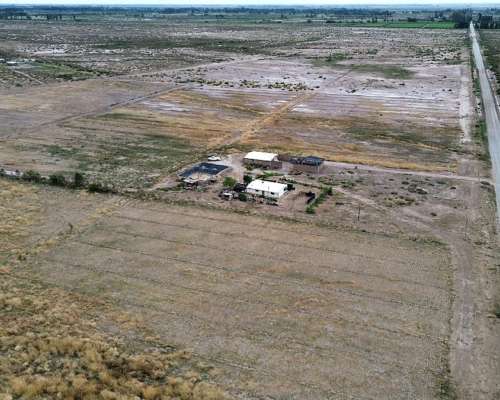 Finca en Venta 57 Hectáreas - Rpn° 24- la Pega Mendoza
