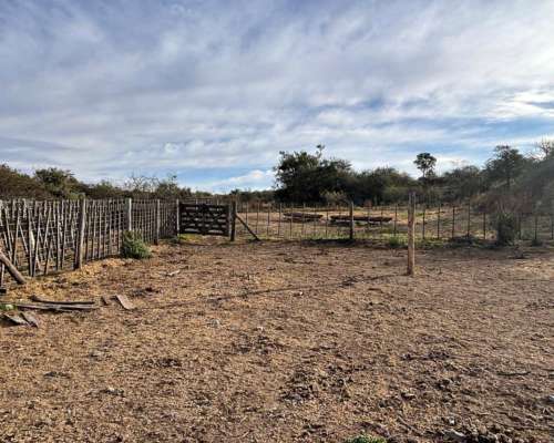 Campo Mixto Zona Berrotaran.-