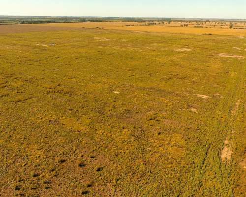 Oportunidad Agrícola en Venta en el TÍO Córdoba. con Plazo