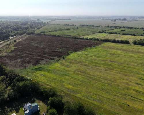 Campo en 20 de Junio - 30 Hectáreas