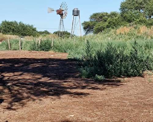 Campo en Venta - 300 Ha - Zona Nueva Escocia, San Luis
