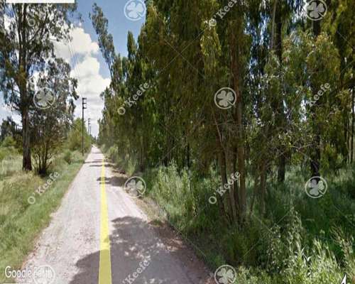 4 Has para Desarrollo en Berazategui Calle 517