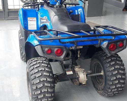 Cuatriciclo Kawasaki Brute Force 300