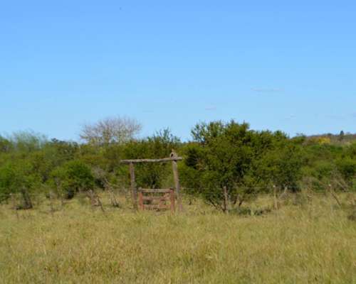 Campo de 30 HA. Sobre Ruta Prov. 39 (entre Ríos)