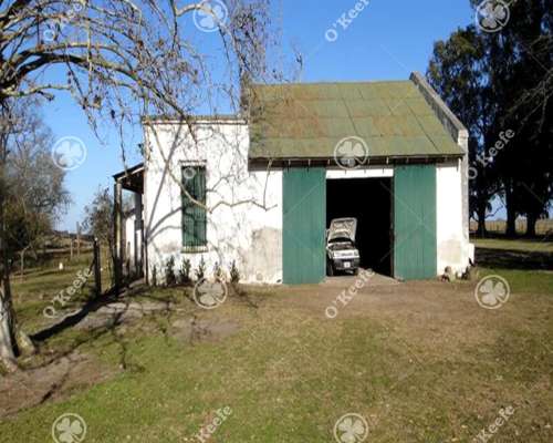 720 Has Campo en Venta en General Guido. Estancia Formada