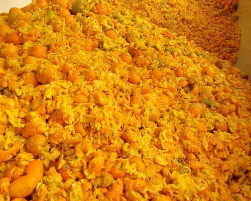 Pulpa de Naranja - Lasna Insumos - MÍN 28 TN