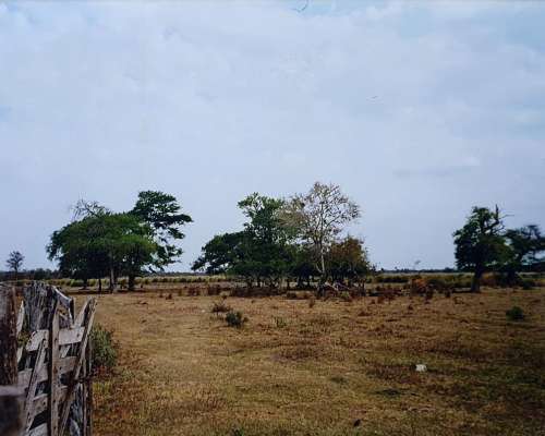 3077 Has en Villa Guillermina con Casa, Molinos y Aguadas