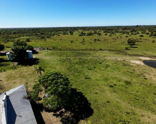 Venta 2.050 Has. en Mercedes - Corrientes