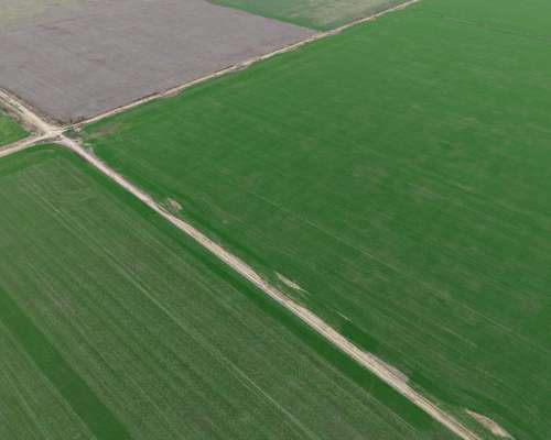 596 Has - Galvez (santa FE) - Agricola/ganadero