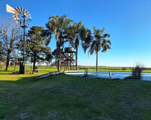 Peon Rural QUE Quiera Vivir en el Campo Victoria Entre Rios