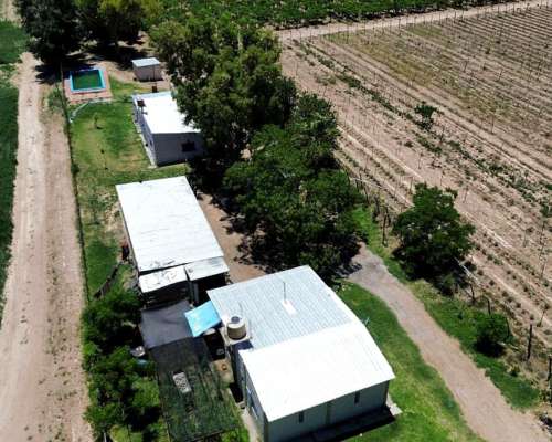 Finca de 13ha el Carrizal Pozo y Goteo