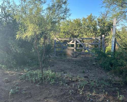 San Francisco del Monte de ORO Chacras Varias