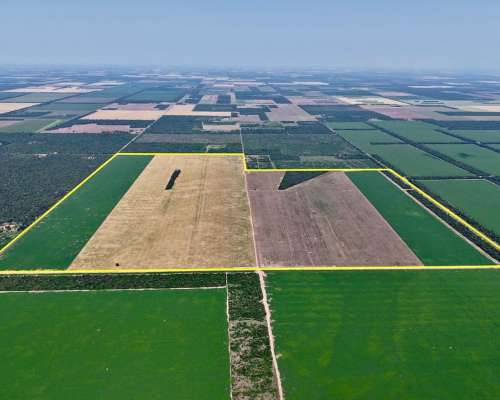 350 Has en Venta - Pcia del Chaco, Charata