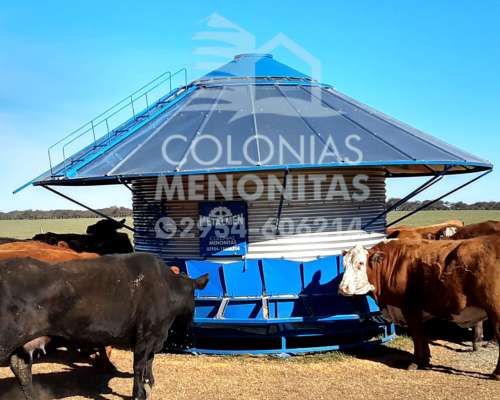 Silos Comedero Base Reforzada - Colonias Menonitas