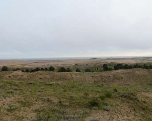 Arenas Verdes -93 HA- Lobería