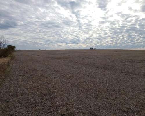 165 Ha Guardamontes. Buen Acceso. Campo Mixto