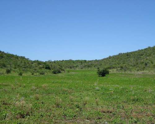 935 Hectareas en Villa Albertina