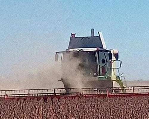 Claas Lexion 750 Orugas. Plat 40 Pies. M7900. R5600. Reparad