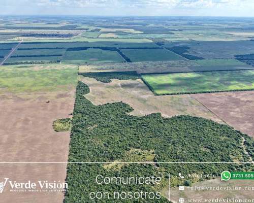 134 Has en Venta - Pcia del Chaco, Campo Largo