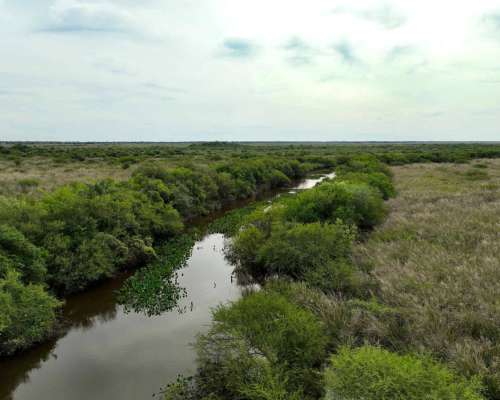 Pcia. de Corrientes - San Luis del Palmar 2389 Has