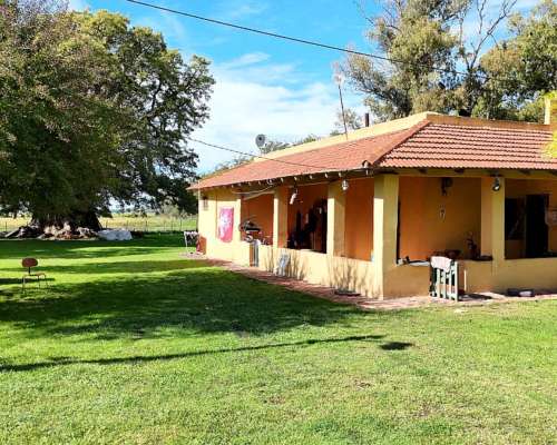 Campo Productivo de 67 Ha en Venta en Baradero Sobre Ruta