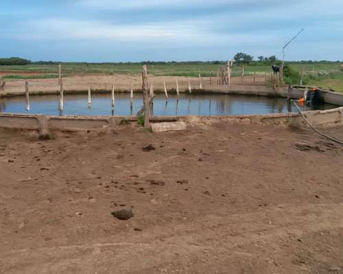 Campo Mixto 400has Tostado