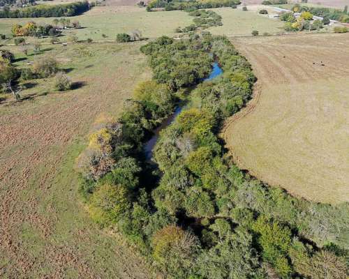 Chacra P/ Vivienda C/campo Agrícola 34 Ha Gualeguay, E. Rios