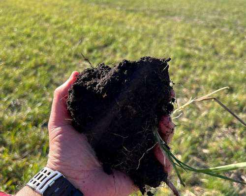 Tandil, Buenos Aires - 850 Ha