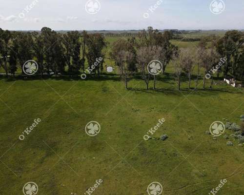 Campo en Venta de 200 Has en Chascomus