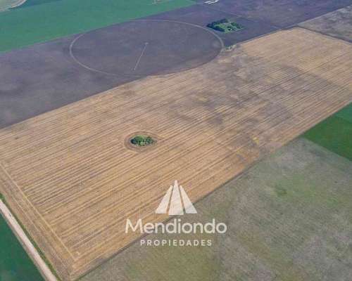 100 Has Agrícolas en Mechongué, Gral. Alvarado