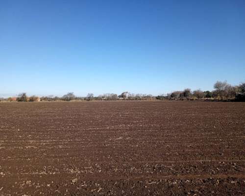 Vendo 18 Hectareas Agricolas - Ferreyra - Cordoba