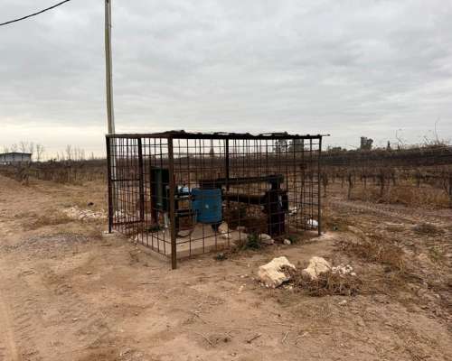 74 Has Carril Chimbas Pozo Nuevo, Goteo y Tela Antigranizo