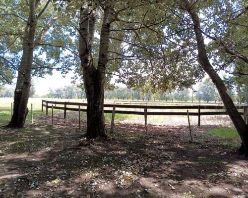 Campo en Venta en Magdalena - 226 Has a 1 Hora de Caba