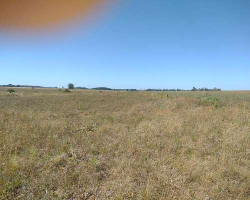 Campo Agricola Ganadero de 35 Hectareas