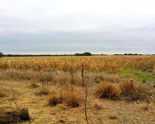 Santa Elena, Córdoba - 21 Ha