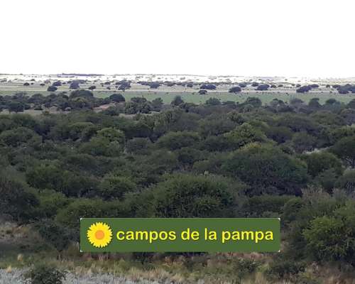 La Pampa - Venta Estancia 10.200 Ha Caldenal y Cultivo