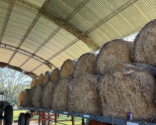 Rollos de Paja de Trigo