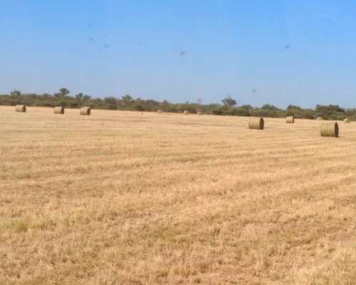 Venta de Campo Galeliano