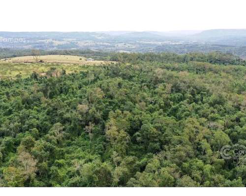 Chacra en Venta de 25ha en Olegario Victor Andrade