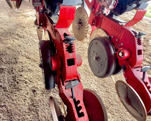Sembradora Tanzi Special 4 15 a 52
