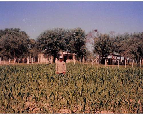 Campo Mixto, 5000 + 2777 Ha Garza, SGO del Estero
