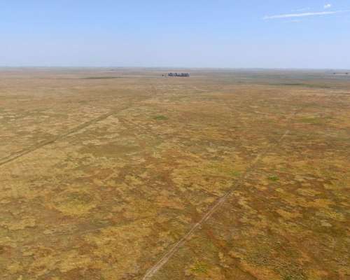 463 Has en Daireaux, BS. AS. - Ganadero - Venta