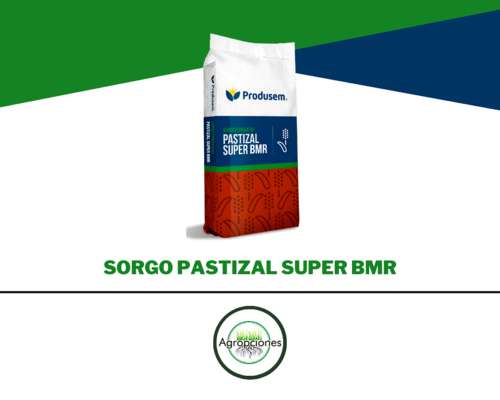 Semilla de Sorgo Pastizal Super BMR
