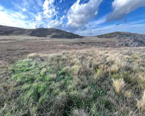 Venta Campo Ganaderas en la Carolina San Luis Paraíso