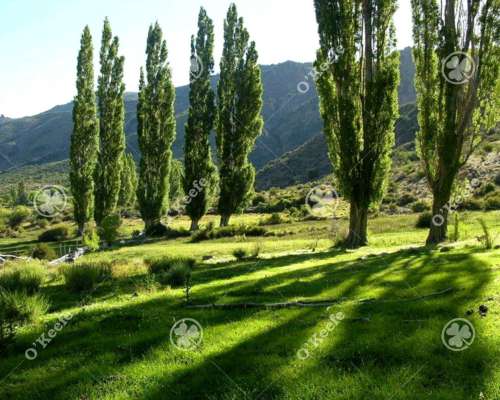 Campo en Venta de 486 Has Bariloche, Alto Rio Chubut